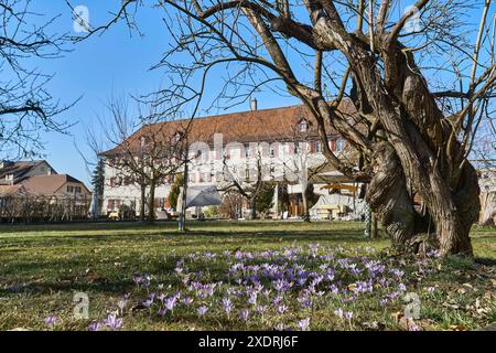 Dornach, Schweiz, Solothurn, Schwarzbubenland, Kloster, Kapuzinerkloster, Stiftung, Dornach SO, 4143 Symbol „von der Gemeinschaft überprüft“ Stockfoto