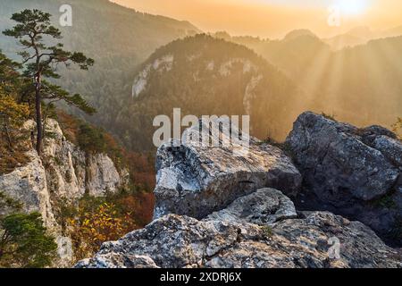 Schweiz, Schwarzbubenland, Zullwil, Meltingen, Nunningen, Solothurn, Herbstabend, Portiflue, Güggelhof Stockfoto