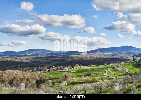 Frühling im Schwarzbubenland bei Nuglar und St. Pantaleon Stockfoto