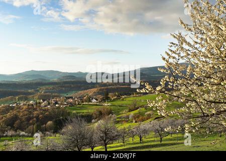 Frühling im Schwarzbubenland bei Nuglar und St. Pantaleon Stockfoto