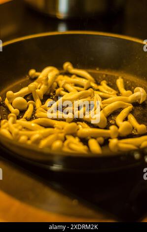 Goldene Pfifferlinge in ron-Pfanne mit Zwiebeln auf dunklem Hintergrund gebraten. Hochwertige Fotos Stockfoto