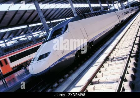 AVE (Hochgeschwindigkeitszug). Cordoba Bahnhof. Spanien Stockfoto