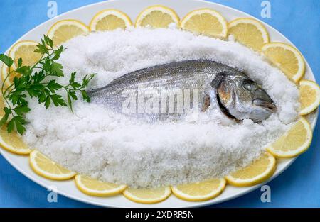 Dorada a la Sal con Salsa de Perifollo (Dorada, Sal, Salsa de Perifollo: Escalonias, Perifollo, Harina, Caldo de pescado, Vino blanco, Mantequilla, Ac Stockfoto