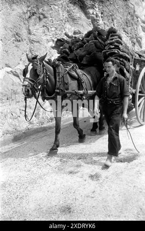 Ein Mann geht neben einem mit Korkstücken beladenen Maultierkarren her, Tossa de Mar 1957. Ein Mann läuft neben einem Maultierwagen, der mit Korkstücken beladen ist, Tossa de Mar 1957. Stockfoto