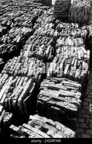 Gebündelte Korkplatten, San Felíu de Guixols 1957. Gebündelte Korkplatten, San Felíu de Guixols 1957. Stockfoto