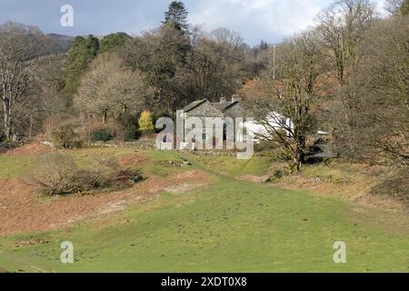 Ferienhäuser in der Nähe von Loughrigg Tarn in der Nähe von Ambleside, Lake District England Stockfoto