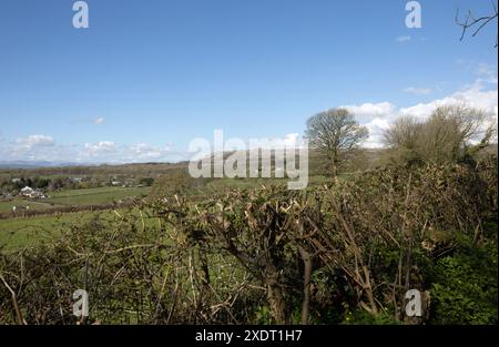 Blick auf die Lake District Hills von den Hängen des Hutton Roof Crag nahe Burton in Kendal Westmorland und Furness oder Cumbria England Stockfoto