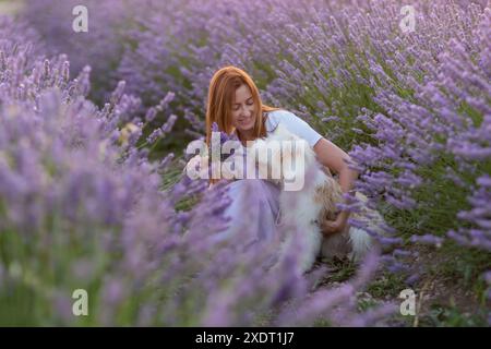 Eine Frau sitzt auf einem Feld aus Lavendelblumen mit einem Hund an ihrer Seite Stockfoto