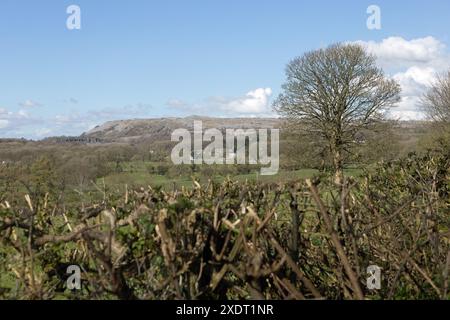 Farleton fiel von den Hängen des Hutton Roof Crag bei Burton in Kendal Westmorland und Furness oder Cumbria England Stockfoto