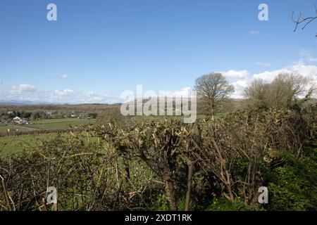 Farleton fiel von den Hängen des Hutton Roof Crag bei Burton in Kendal Westmorland und Furness oder Cumbria England Stockfoto