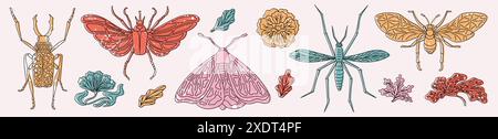 Schmetterling. Niedliche Insekten, Bienen im Garten Blumen, Marienkäfer und Käfer Charaktere, Libelle und Motte. Moderne, isolierte, farbenfrohe dekorative Elemente. Vektorillustration schöne Symbole Set Stock Vektor