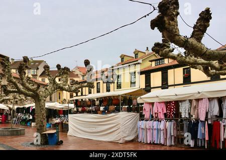 An einem feuchten Januartag im Mercado del Fontán Oviedo Asturias Spanien finden Sie am Plaza de Daoiz y Velarde in der Altstadt Einkäufer Stockfoto