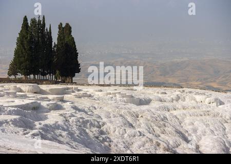 Die wunderschönen weißen Travertinen von Pamukkale in Türkiye an einem sonnigen Tag, mit Bäumen im Hintergrund in der Nähe der antiken Ruine von Hierapolis. Stockfoto