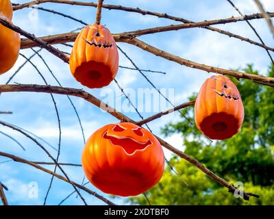 Kopf Halloween Jack o Lantern Pumpkins mit gruseligen Lächeln Gesicht hängende Dekoration auf dem Baum auf blauem Himmel Hintergrund. Die orange Farbe des Kürbiskopfes. Happ Stockfoto