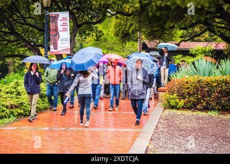 Berkeley, Kalifornien, USA - 24. März 2017: Gruppe von Studenten auf College-Tour an einem regnerischen Tag. Stockfoto