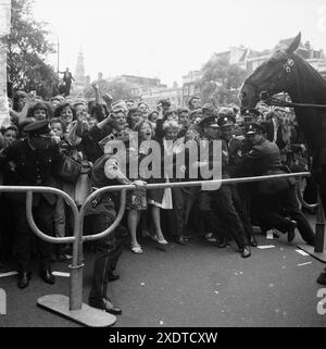 Betlemania - die Beatles in den Niederlanden - Holland, Juni 1964 - die Polizei hat Schwierigkeiten, die Fans der verrückten Beatles zu kontrollieren Stockfoto