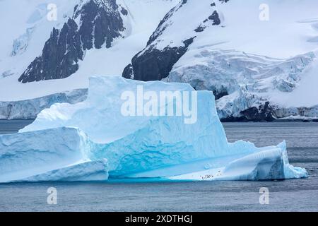 Iceberg, Livingston Island, South Shetland Islands, Antarktische Halbinsel, Antarktis Stockfoto