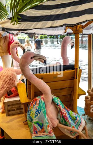 FAO Schwarz ist ein berühmter Spielwarenladen im 30 Rockefeller Center, New York City, USA 2024 Stockfoto