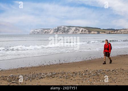 Wanderer am Strand, Compton Bay, Isle of Wight, England, Großbritannien Stockfoto