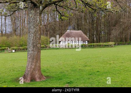 Abernodwydd Farmhouse, Llangodfan, St Fagan's Folk Museum, Cardiff, Wales, Großbritannien Stockfoto