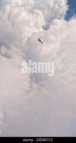 Ein kleines rotes Flugzeug fliegt durch einen bewölkten Himmel. Viele kleine Vögel können am Himmel fliegen gesehen werden. Oben rechts ist ein blauer Himmel zu sehen Stockfoto