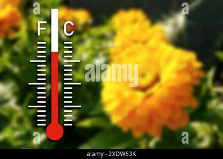 Blurred flowers and drawn thermometer showing high temperature. Hot summer weather Stockfoto