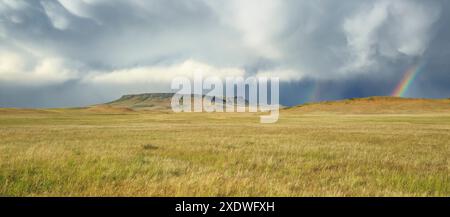 Panorama des Quadrats butte und eines Regenbogens bei einem Sommerregen über der Prärie bei ulm, montana Stockfoto