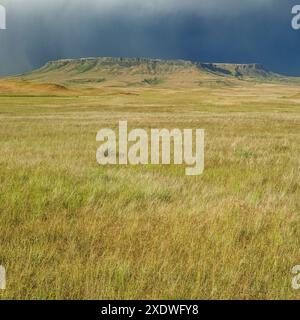 Ein Regensturm überquert den Square butte auf der Prärie bei ulm, montana Stockfoto