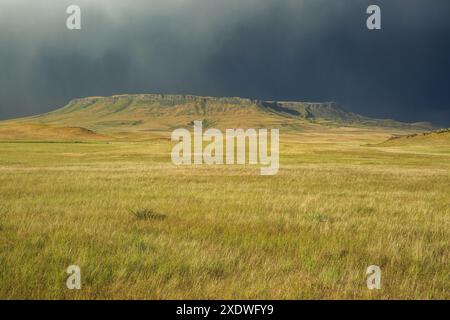 Ein Regensturm überquert den Square butte auf der Prärie bei ulm, montana Stockfoto