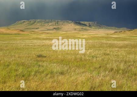 Ein Regensturm überquert den Square butte auf der Prärie bei ulm, montana Stockfoto