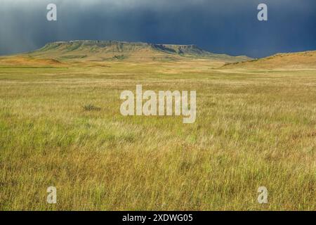 Ein Regensturm überquert den Square butte auf der Prärie bei ulm, montana Stockfoto