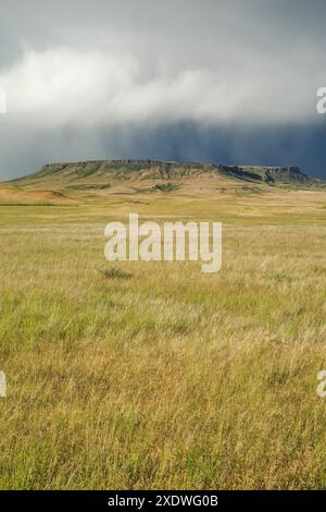 Ein Regensturm überquert den Square butte auf der Prärie bei ulm, montana Stockfoto