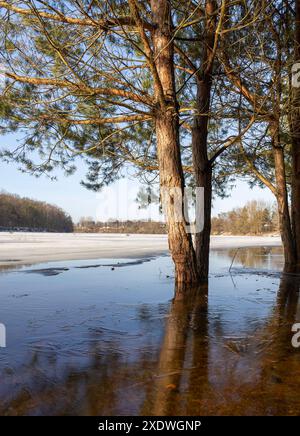 Die eisbedeckte Oberfläche des Flusses in der Wintersaison, das Wasser gefrorenen im Fluss während der Fröste der Wintersaison Stockfoto