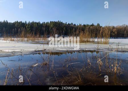 Die eisbedeckte Oberfläche des Flusses in der Wintersaison, das Wasser gefrorenen im Fluss während der Fröste der Wintersaison Stockfoto
