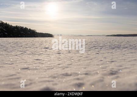 Schneetreiben nach Schneefall im Winter, frisch gefallener weißer kalter Schnee in der Natur Stockfoto