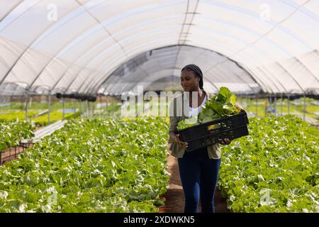 Tragetasche mit frischem Salat, afroamerikanische Farmerin im Hydrokultur-Gewächshaus, Kopierraum Stockfoto