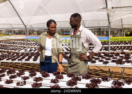 Bauern mit Tablettenarbeiten im Bio-Hydrokultur-Gemüsegarten im Gewächshaus Stockfoto