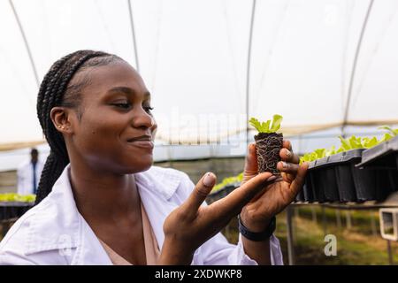 Sämling im Gewächshaus der Hydrokultur inspizieren, Farmerin lächelt Stockfoto