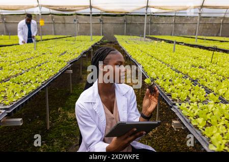 Bäuerin mit Tablette zur Untersuchung von hydroponischen Salatpflanzen im Gewächshaus Stockfoto