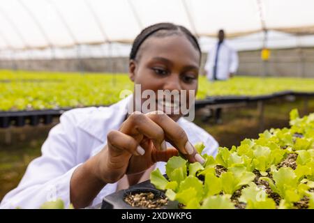 Hydrokultur-Pflanzen im Gewächshaus inspizieren, Farmerin lächelt Stockfoto