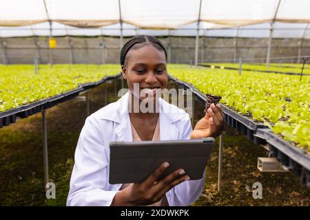 Landwirtin mit Tablette und Inspektionspflanzen im Gewächshaus von hydroponischen Betrieben Stockfoto