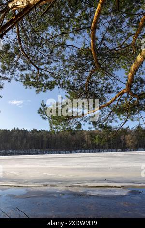 Die eisbedeckte Oberfläche des Flusses in der Wintersaison, das Wasser gefrorenen im Fluss während der Fröste der Wintersaison Stockfoto