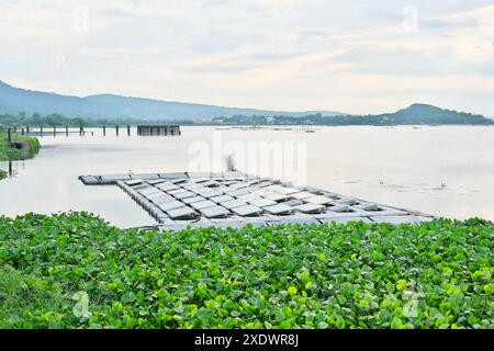 Los Banos, Laguna, Philippinen - 19. Juni 2024: Solarpaneele, die an einem Teil des Laguna Sees oder der Laguna de Bay in Los Banos, Laguna, schwimmen. Stockfoto