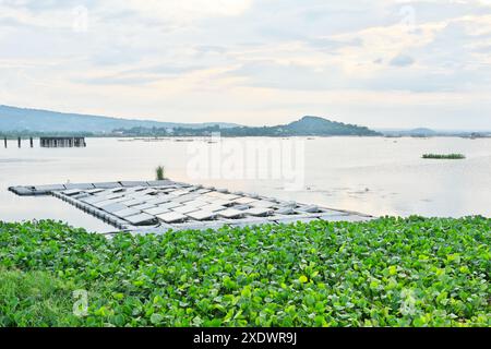 Los Banos, Laguna, Philippinen - 19. Juni 2024: Solarpaneele, die an einem Teil des Laguna Sees oder der Laguna de Bay in Los Banos, Laguna, schwimmen. Stockfoto