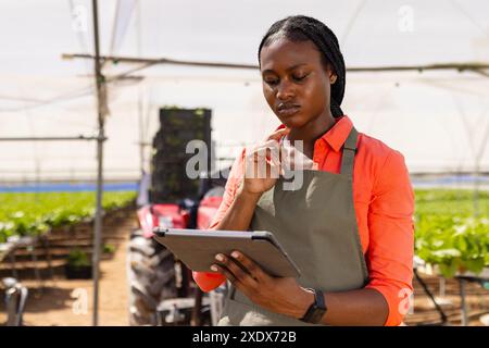 Afroamerikanische Farmerin, die Tablette für die Verwaltung von hydroponischen landwirtschaftlichen Betrieben verwendet Stockfoto