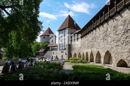 Tallinn, Estland. Juni 2024. Der dänische Königsgarten an der Stadtmauer am Domberg in der Oberstadt. Im Vordergrund befindet sich der Neitsitorn (Maidenturm) im Hintergrund der Kiek-in-de-Koek-Turm. Eine Grünanlage vor dem befestigten Turm in der historischen Stadtmauer. Quelle: Jens Kalaene/dpa/Alamy Live News Stockfoto