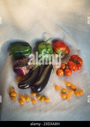 Vertikales Stillleben von Tomaten, Auberginen und Paprika auf weißem Baumwolltuch im goldenen Sonnenlicht Stockfoto