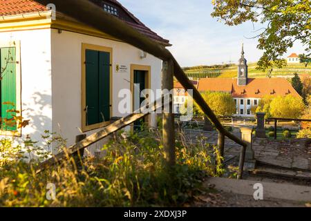 Heinrichsburg, Barockschloss Seußlitz und Luisenburg im Herbst, Diesbar-Seußlitz, Sachsen, Deutschland *** Schloss Heinrichsburg, Seußlitz Barockpala Stockfoto