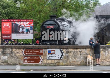 Dampfzug oder Lokomotive auf der Heritage Railway North Yorkshire Moors Railway in Pickering Station, England, Großbritannien, mit Menschen zu beobachten Stockfoto