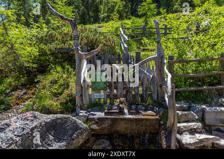 Wanderung auf dem Almenweg durch das Salzburgerland, Großarl, Salzburg, Österreich Stockfoto